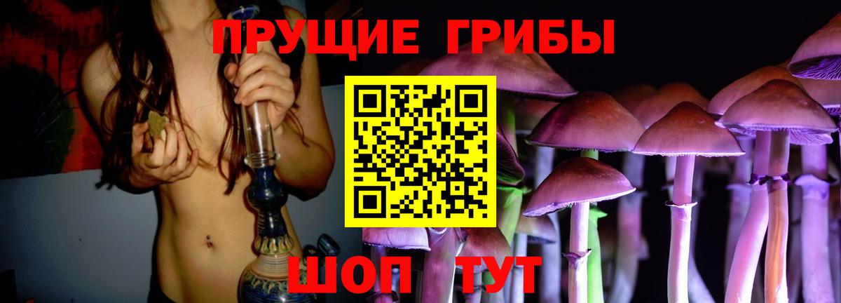 Галлюциногенные грибы Psilocybine cubensis Миллерово